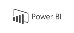 Microsoft Power BI CRM 